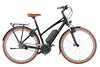 Riese & Müller Cruiser Mixte Silent Black